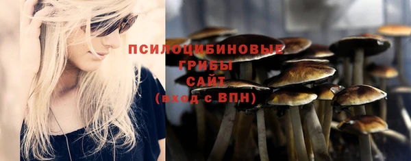 прущая мука Алзамай