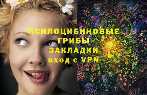 тгк Алексин