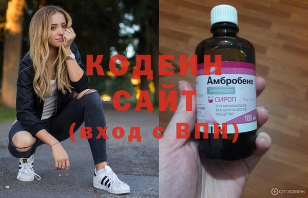 шишки Новозыбков